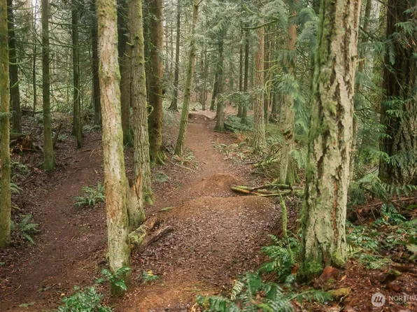 0 Princeton Court, Bellingham, WA 98229