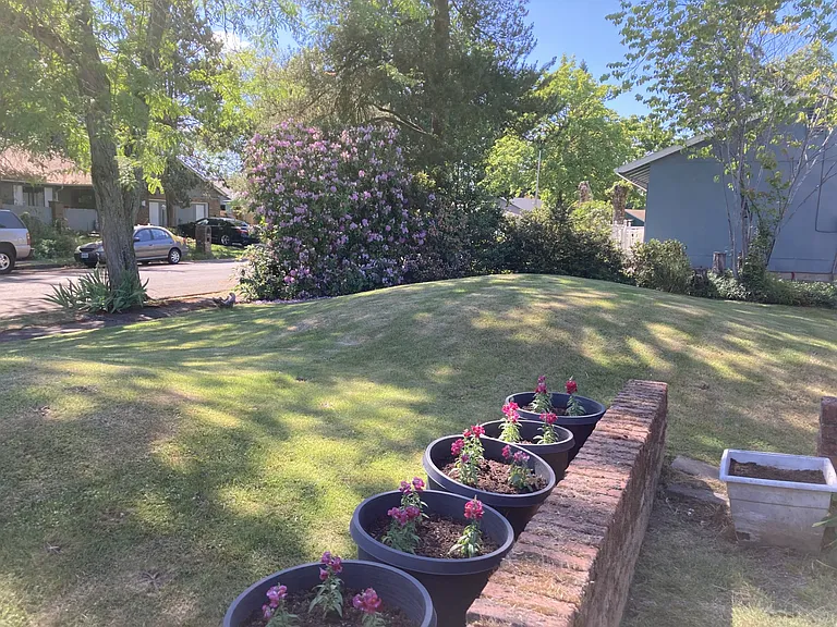 Plenty of planters to practice on improving a green thumb. Several are waiting for a good idea.