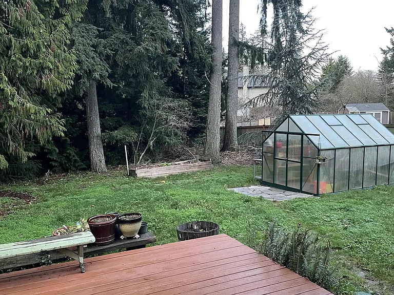 Backyard view from patio