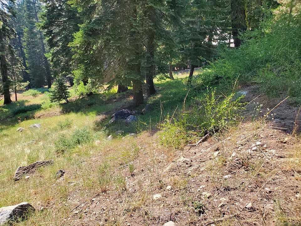 2nd image of 1636 Skyline Dr #234
