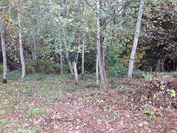 1st image of 9842 Windward Dr NW