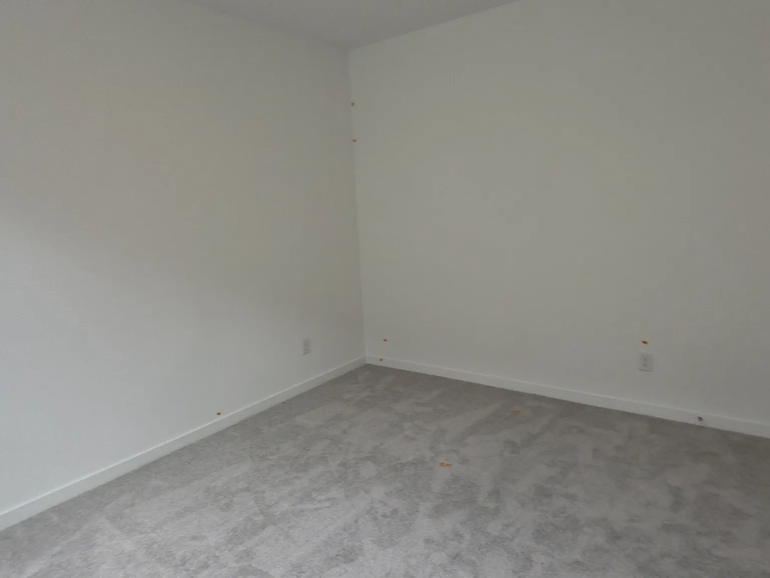 3005 Paradise Capri Dr — Photo 3