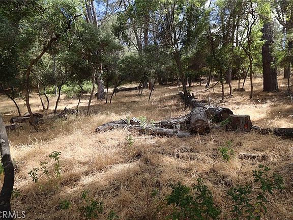 3rd image of 10465 Boren Bega Dr Lot 9