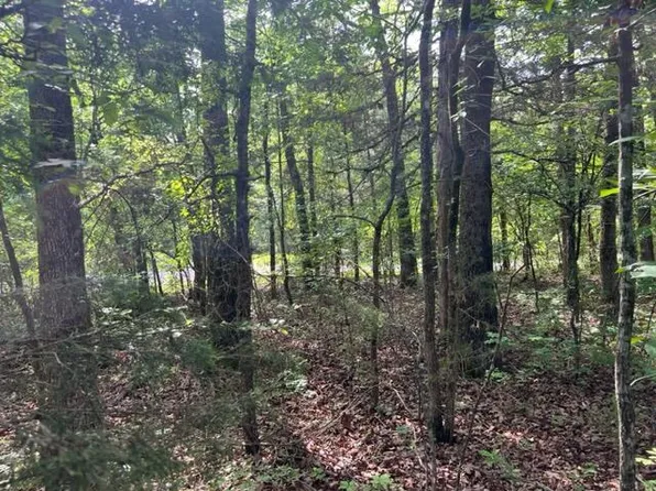 Gateway St, Diamond City, AR 72644