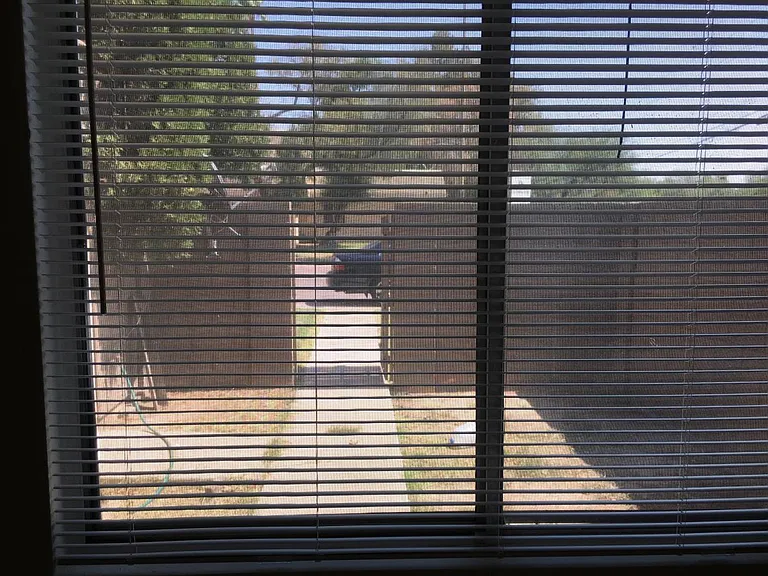 4429 E Pueblo Ave — Photo 7