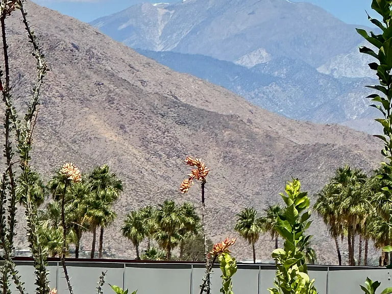 San Gregorio Mountain from dining room