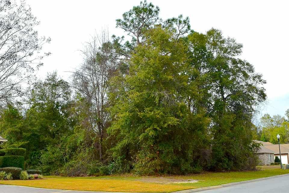 1st image of 5073 Avocet Ln