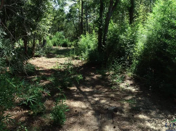 0 County Road 3175 E, Mount Enterprise, TX 75681