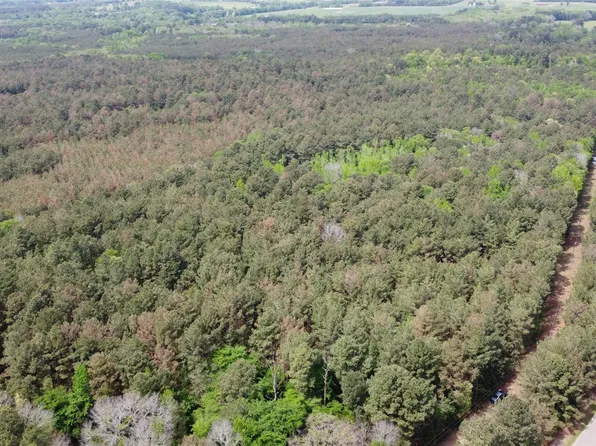 20099 County Road 2160, Troup, TX 75789