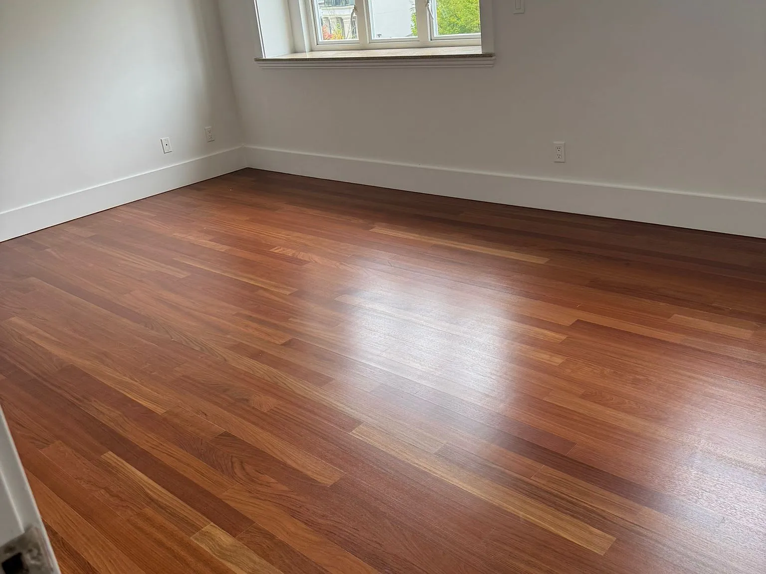 3394 Seaforth Dr — Photo 2