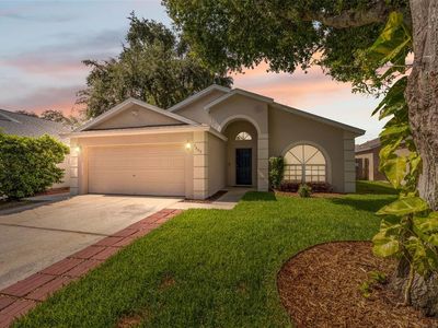 6803 Silver Branch Ct, Tampa, FL, 33625