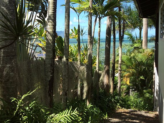 Side Yard