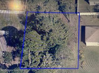 303 Fitchburg St SW, Palm Bay, FL 32908