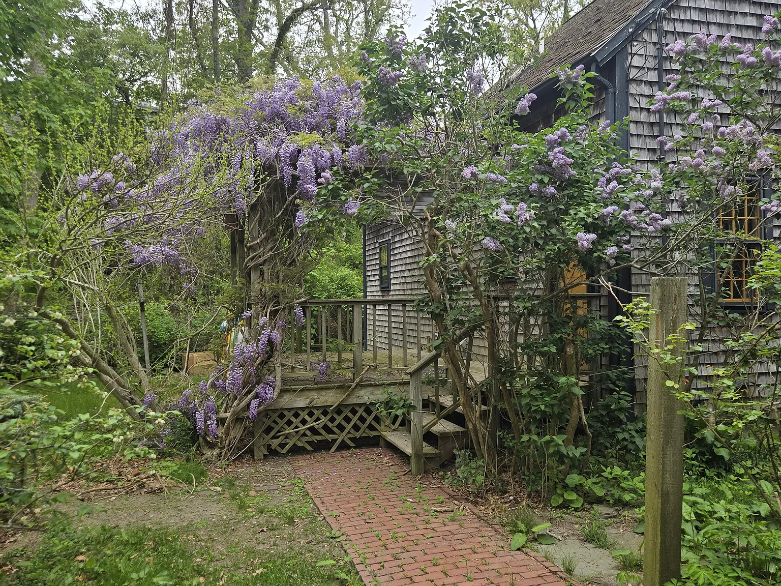 3 bed, 1.5 bath, 1904 sqft, $5,250 — Photo 2