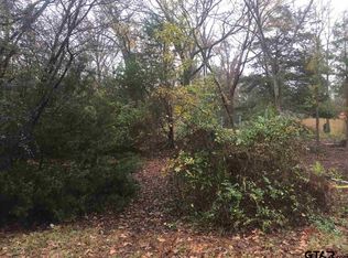 LOT 172 Tree Top Ln, Flint, TX 75762