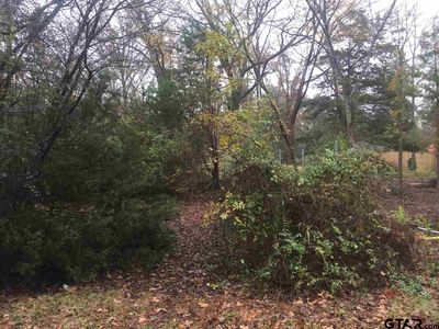 Lots 3 & 4 Timberline, Bullard, TX, 75757