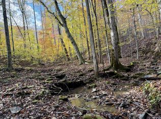 1 E Robbins Rd, Robbins, TN 37852