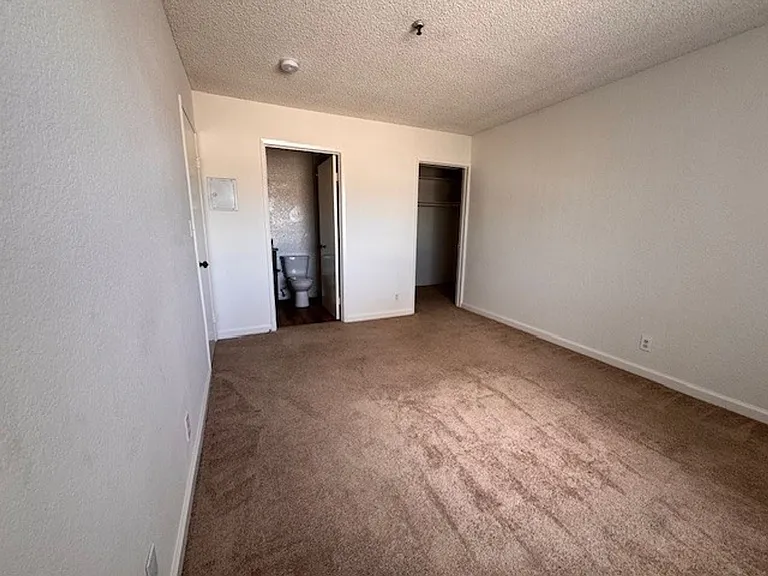 10323 Woodbine — Photo 36