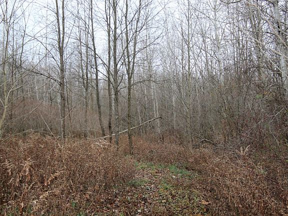 5th image of County Road 681