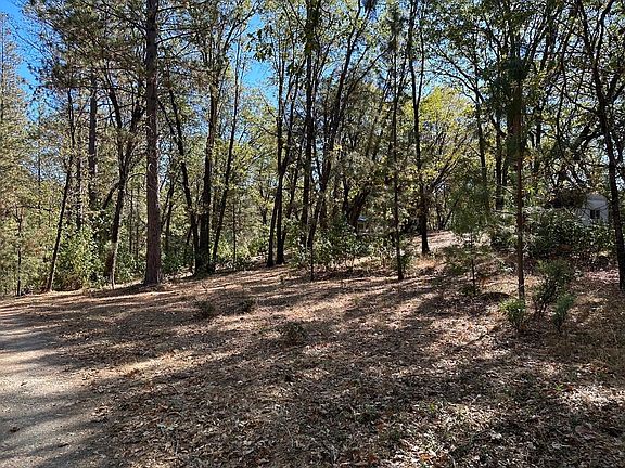 3rd image of 14821 Blind Shady Rd