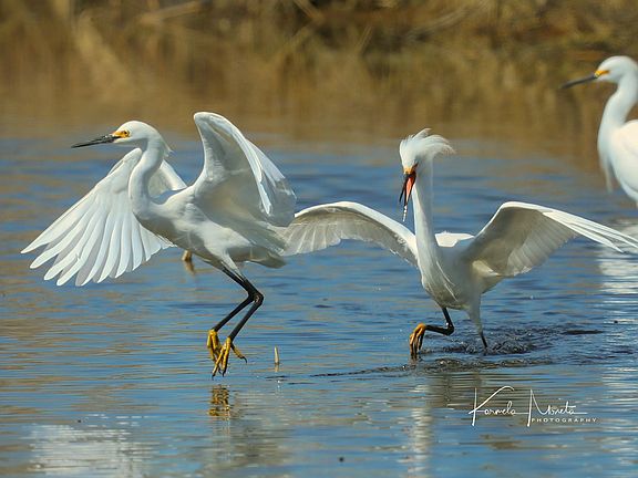 Front view wildlife refuge 