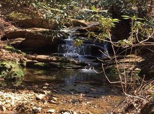 910 Hanks St, Traphill, NC 28685