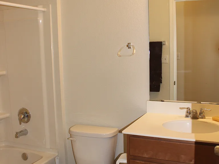 Guest bath