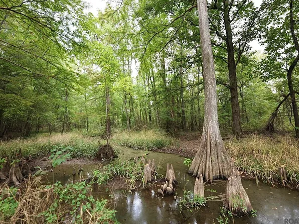 211 Fred Rogers Rd, Montgomery, LA 71454