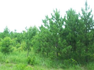 LOT 4 Black Brook Rd, Webster, WI 54893