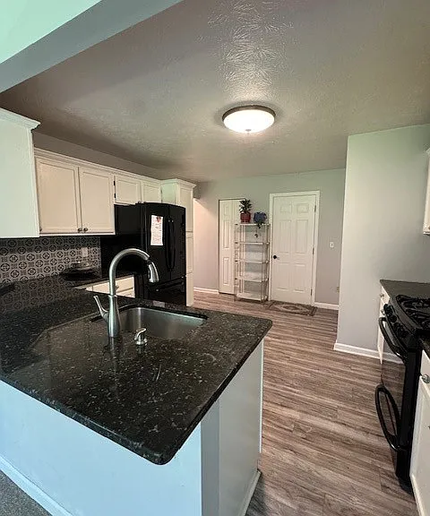 1003 Rural Ridge Dr — Photo 11