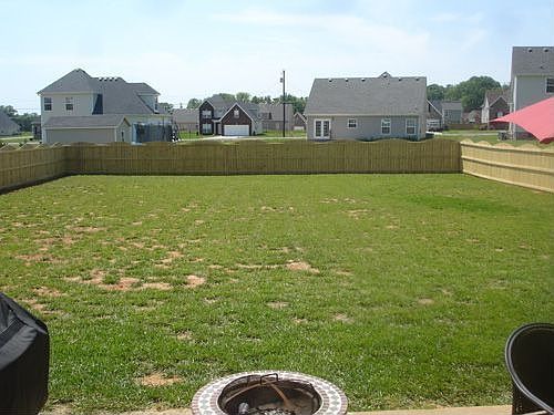 Look how big the backyard is!!