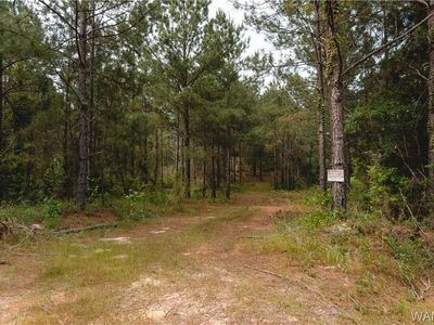 8645 Highway 159, Fayette, AL, 35555