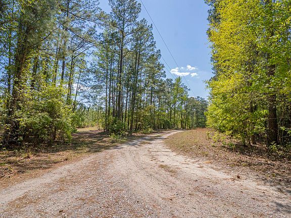 4th image of 122 E Lonesome Pine Trl
