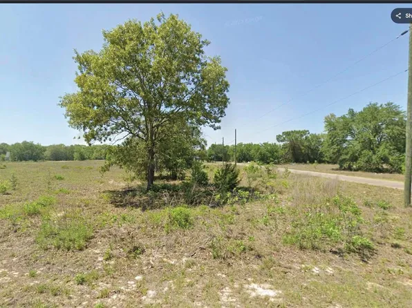 0 Guava Track Trl #5, Ocklawaha, FL 32179