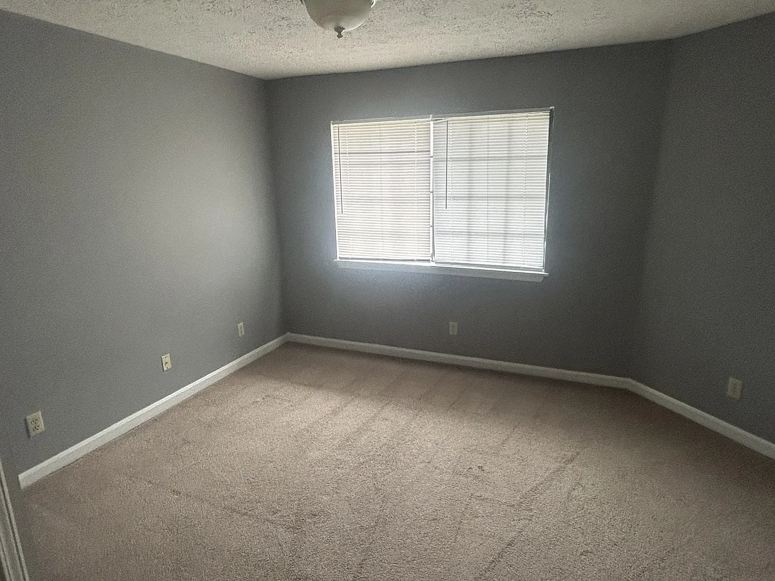 392 Shelby Avenue - Unit 10 — Photo 3