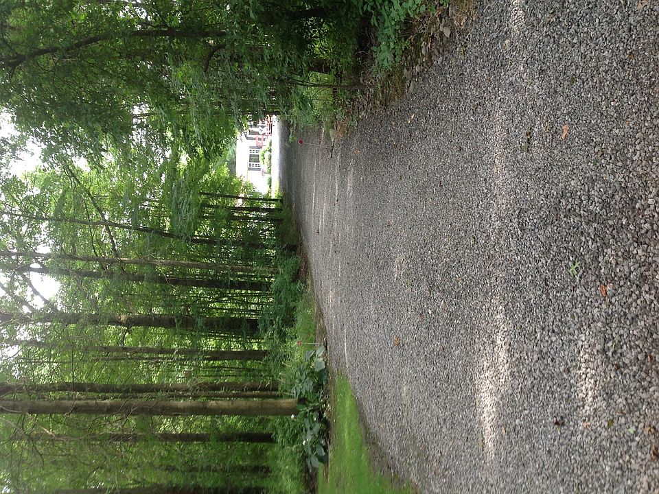 Up The Driveway
