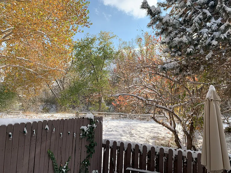 Back Yard and Bike Path Access