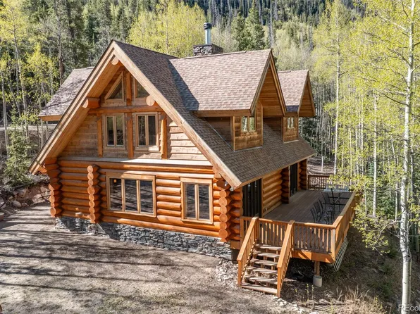24500 County Road 162, Nathrop, CO 81236