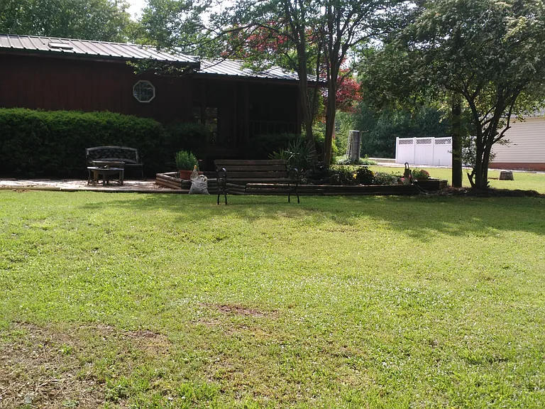 Back yard