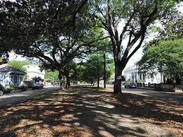 Esplanade Ridge for walking and biking 1/2 block away