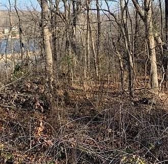 1st image of Osborne Ln