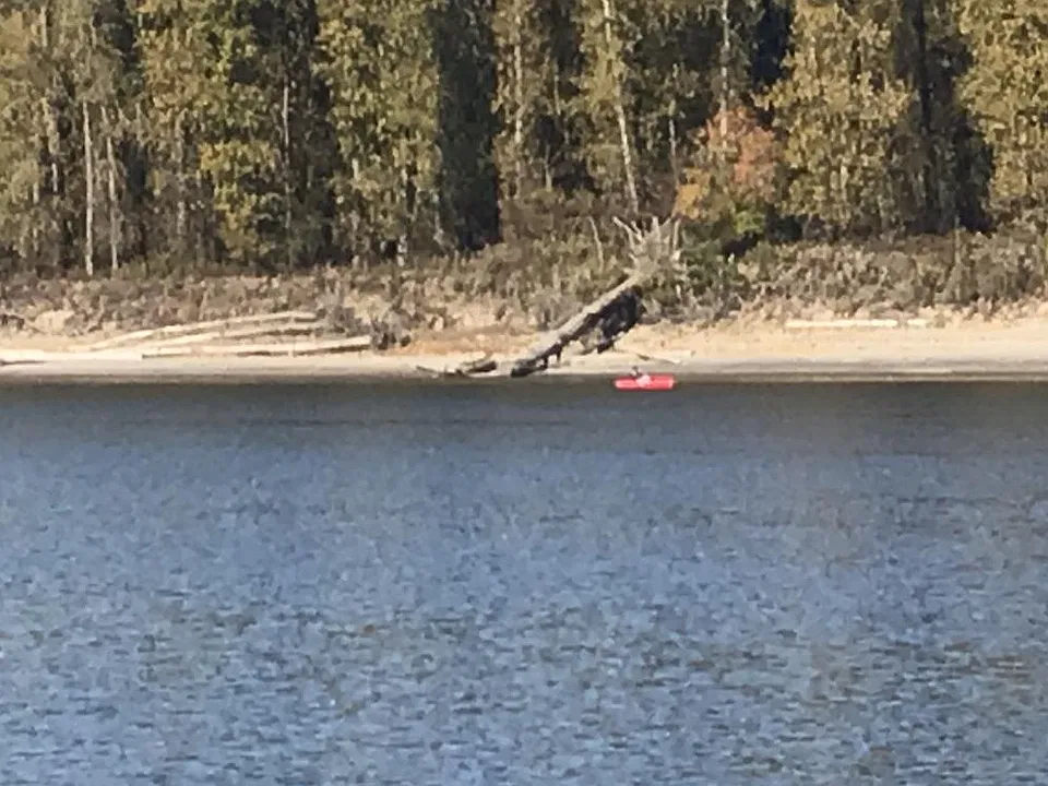 We are right across from the uninhabited McGuire Island you can kayak to and picnic or hike on