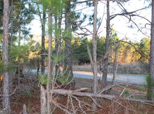0 Telfair County Line Rd, Rhine, GA 31077