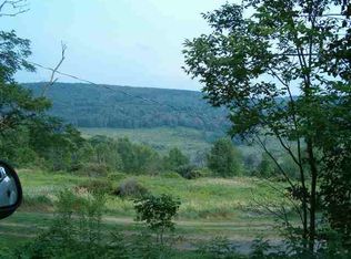 890 Highview Rd, Richmondville, NY 12149