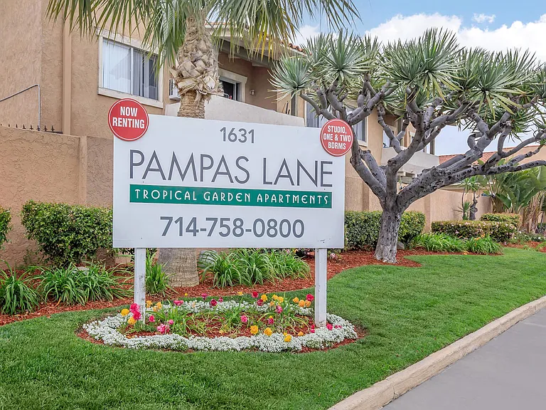 Pampas Lane Apartments — Photo 9