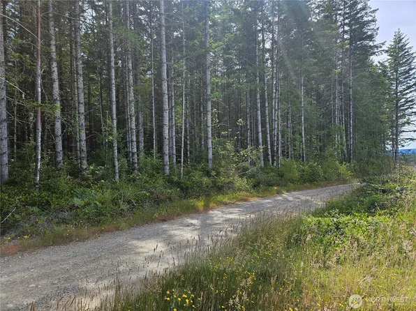 0 NKA L Lee Valley Road, Quilcene, WA 98376