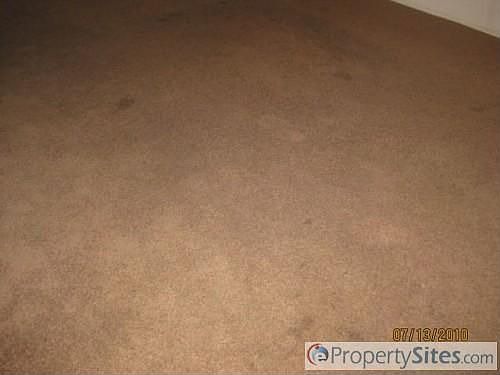 5th image of 869 E Beargrass Pl