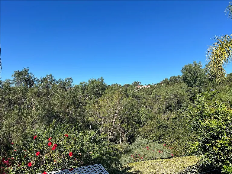28084 Saint Kitts — Photo 32