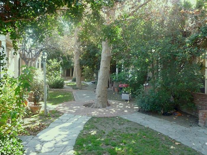 our courtyard