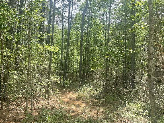 5th image of Debbie Brown Rd